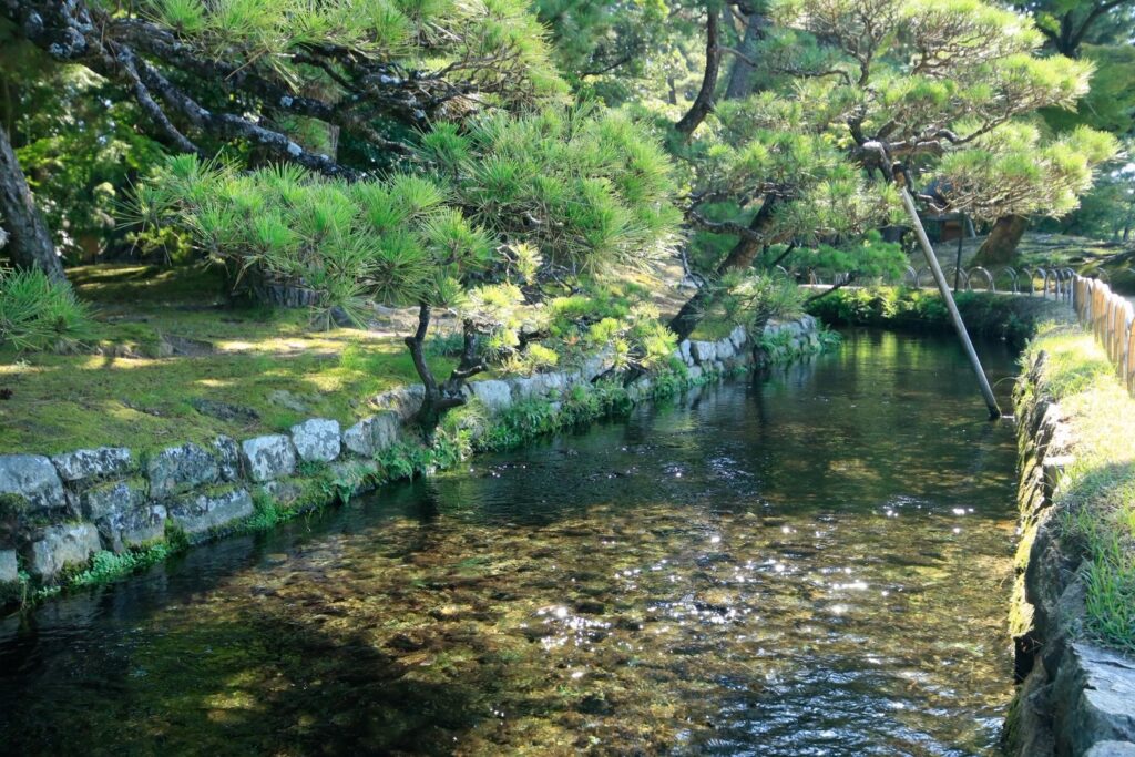 岡山後楽園の小川を見つけて喜ぶ2歳児