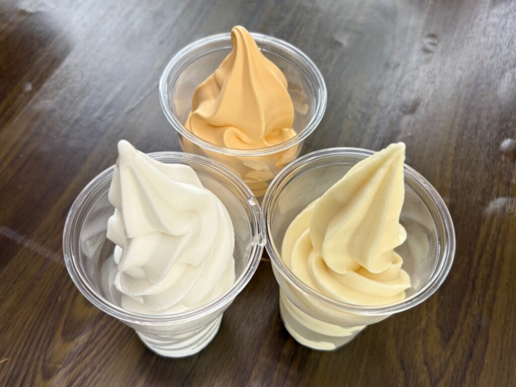 千光寺公園頂上売店のみかんレモンはっさくソフトクリーム