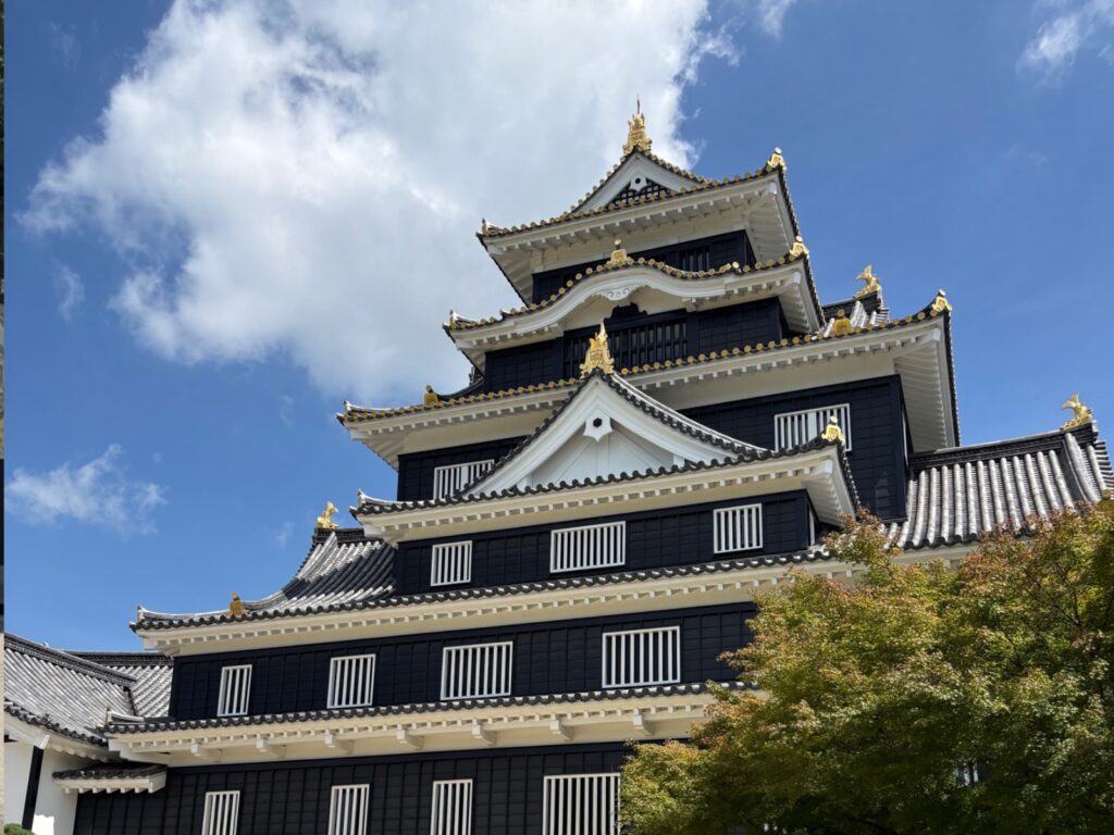 青空の下に立つ黒い外観の岡山城天守